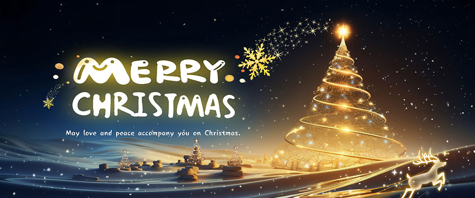 Merry Christmas! Wishing You Joy and Fun This Holiday！
